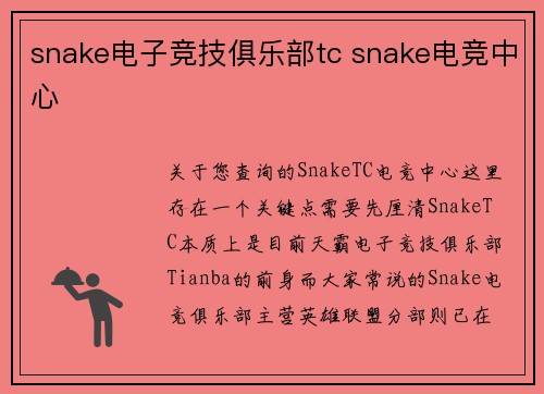 snake电子竞技俱乐部tc snake电竞中心